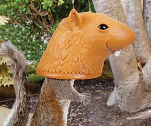 Squirrel Head Feeder - //coolthings.us