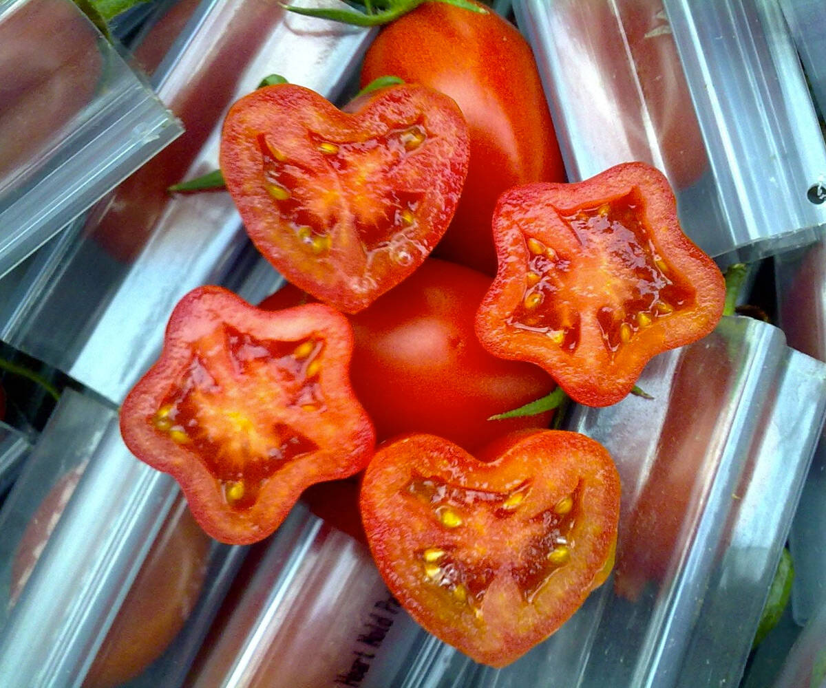 Star-Shaped Fruit & Veggie Grow Molds