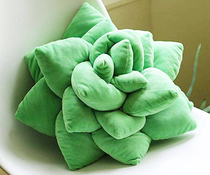 Succulent Cactus Pillow