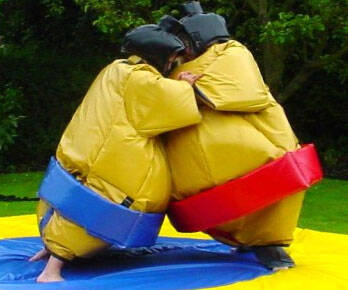 Sumo Suits - coolthings.us
