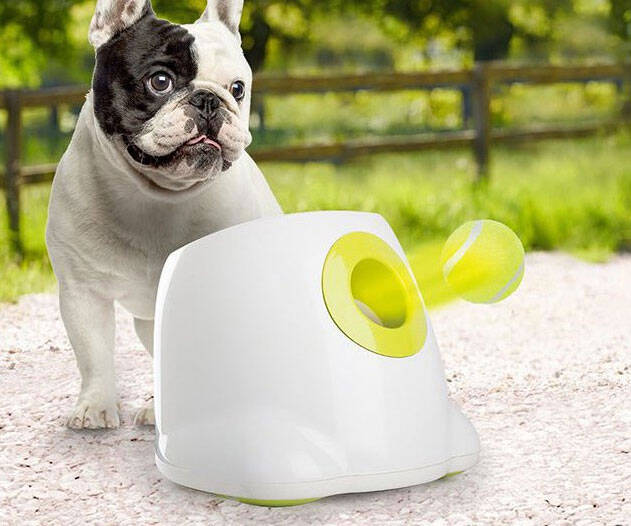 Automatic Tennis Ball Launching Dog Toy - //coolthings.us