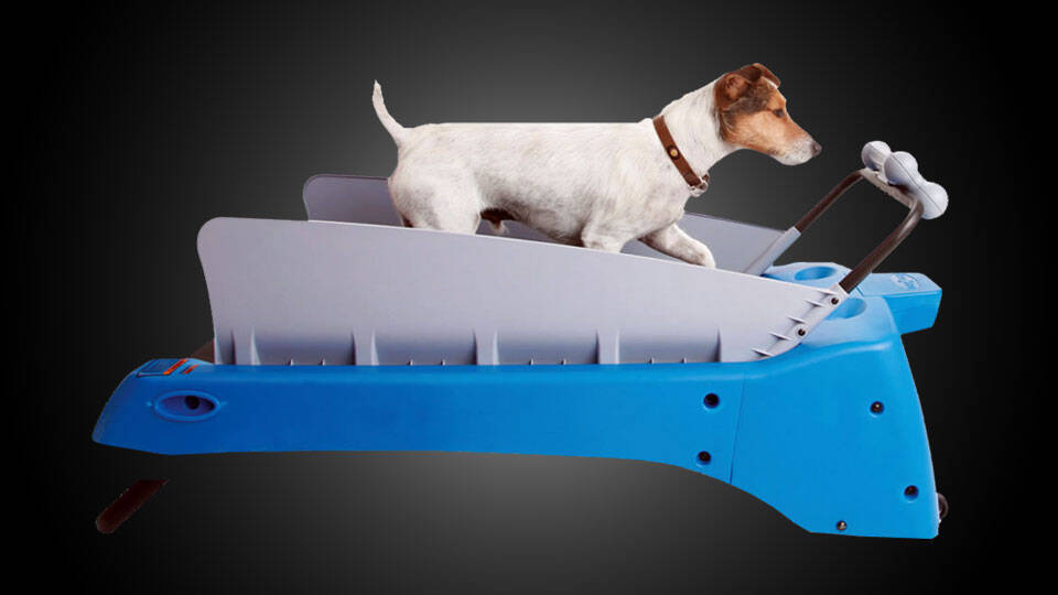 The Dog Treadmill - coolthings.us