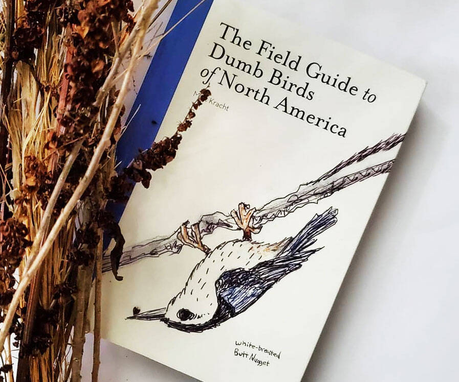 The Field Guide to Dumb Birds of North America - //coolthings.us