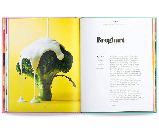 The Pregnancy Cookbook - //coolthings.us