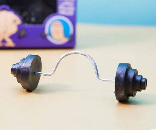 The Willy Exerciser - coolthings.us
