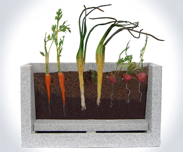 Transparent Root Vegetable Farm - coolthings.us
