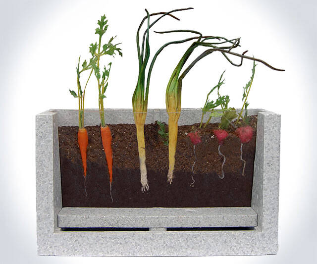 Viewable Root Garden