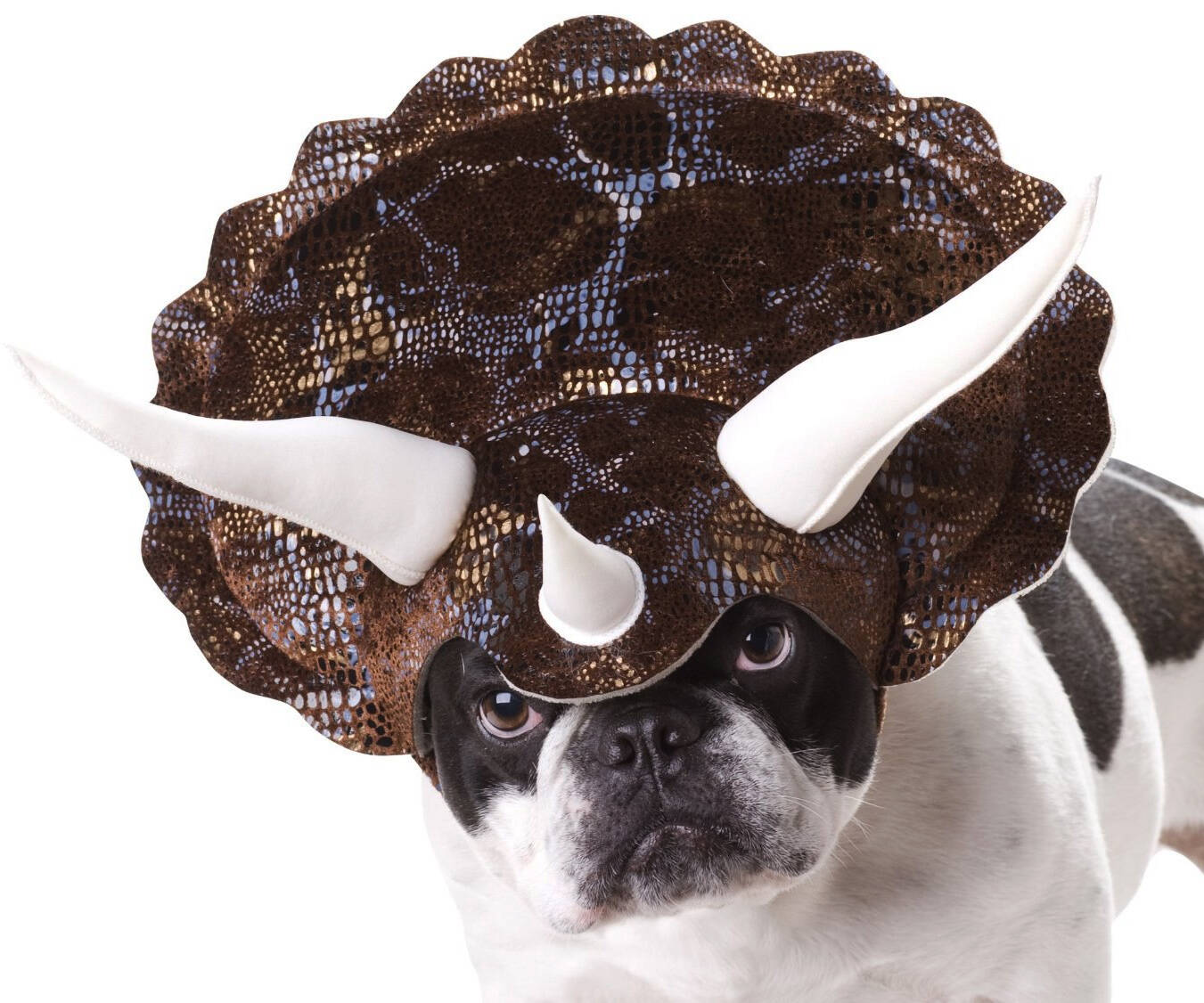 Triceratops Dog Costume - //coolthings.us