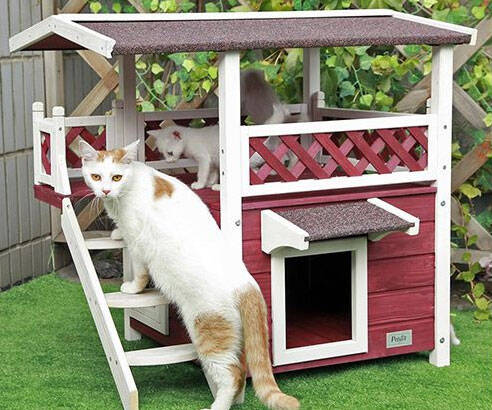 2-Story Pet House - //coolthings.us