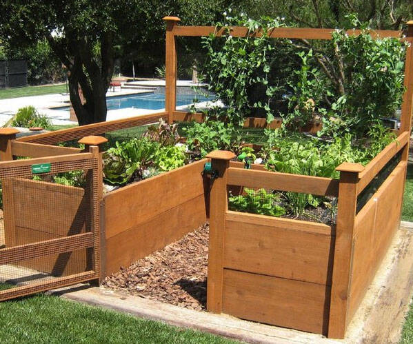 DIY Vegetable Garden Kit - coolthings.us