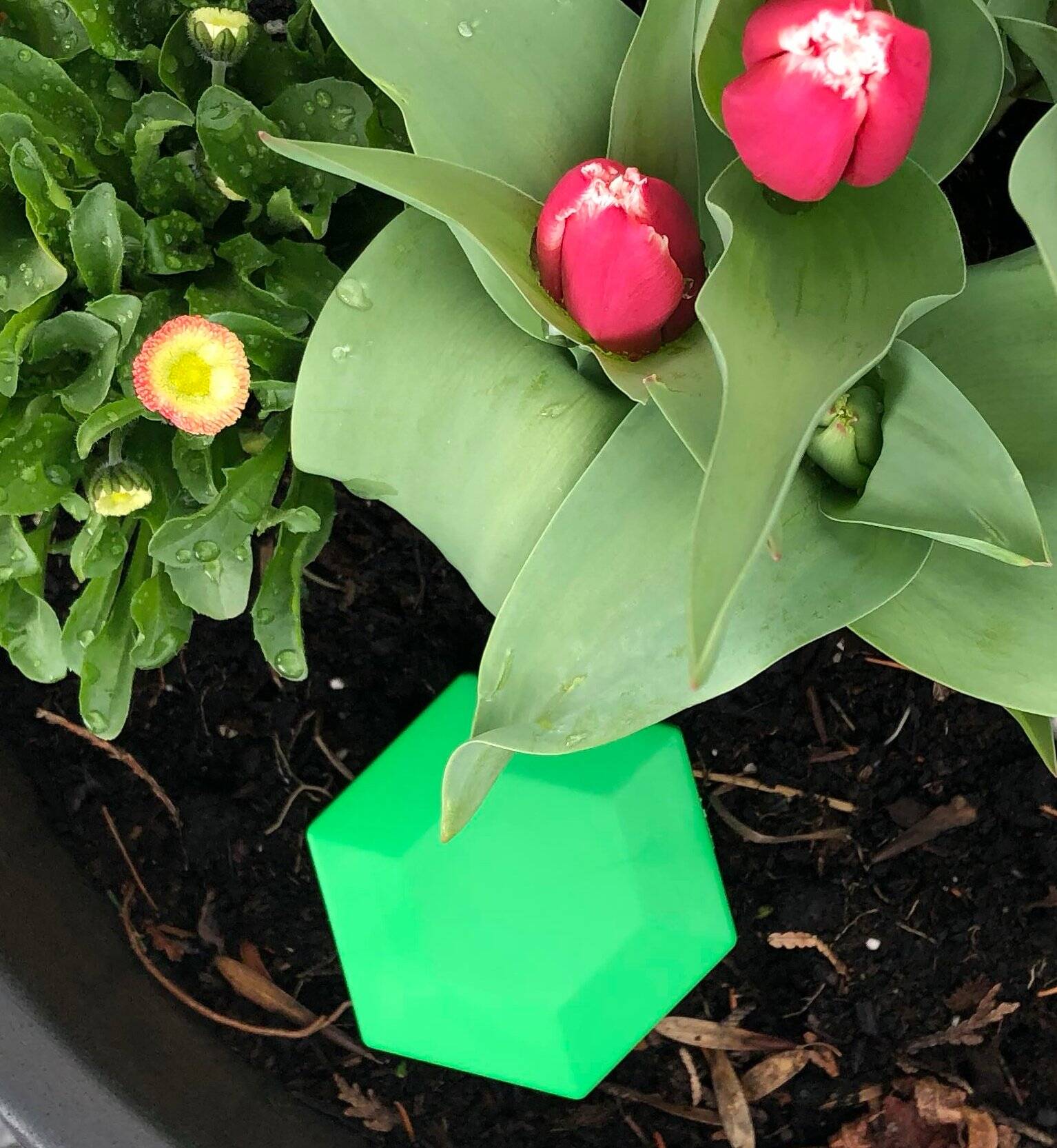 Verdmo - Wireless Soil Moisture Sensor