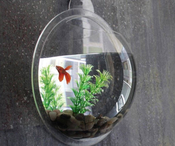 Wall Mounted Fish Aquarium - //coolthings.us