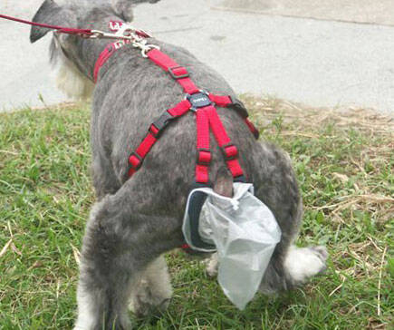 Poop Collecting Dog Harness - coolthings.us