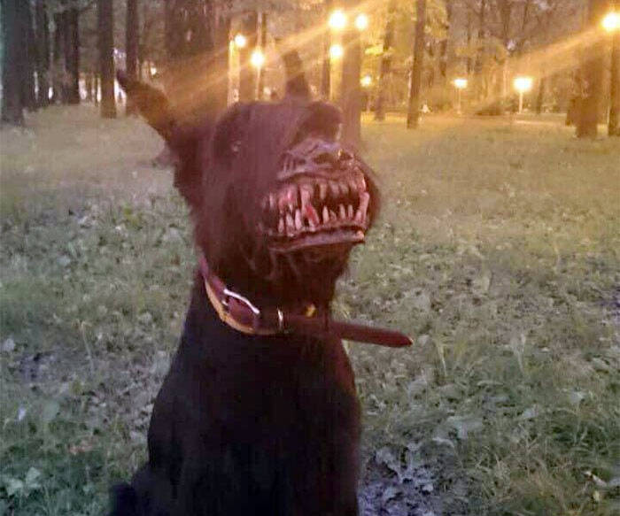 Werewolf Dog Muzzle