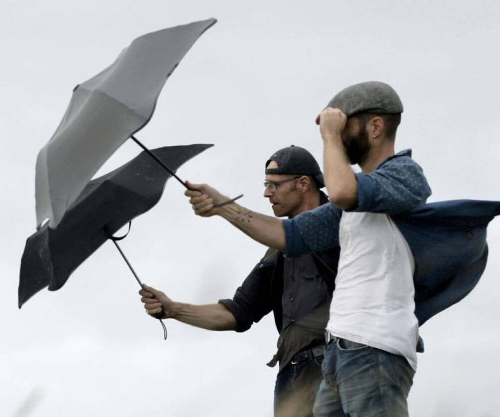 Wind Resistant Storm Umbrella