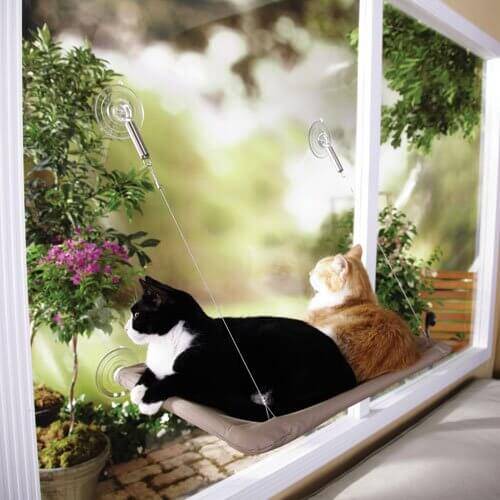 Window Mounted Cat Bed - //coolthings.us