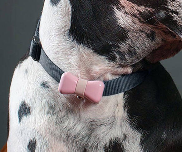 Dog Bowtie Activity Monitor - //coolthings.us