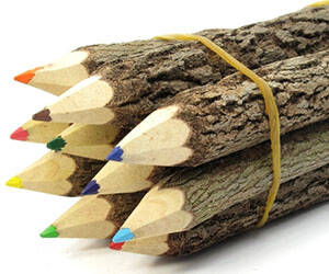 Wooden Branches Colored Pencils - coolthings.us