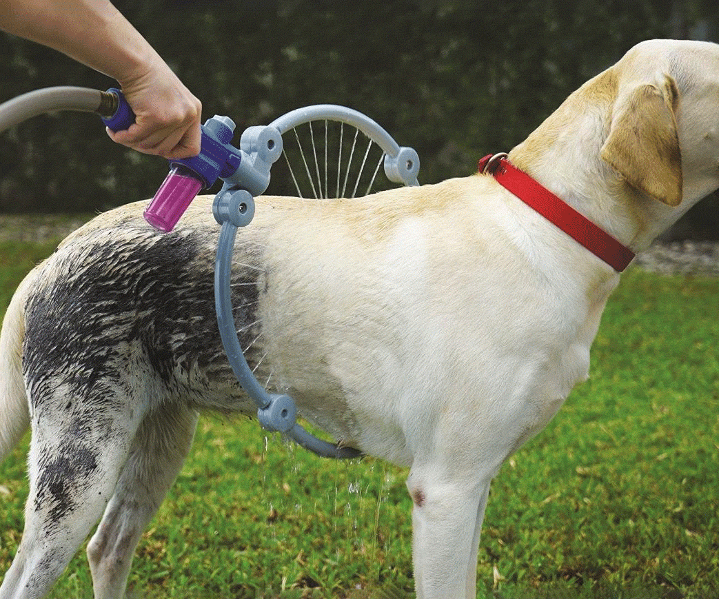 360 Degree Dog Washer - //coolthings.us