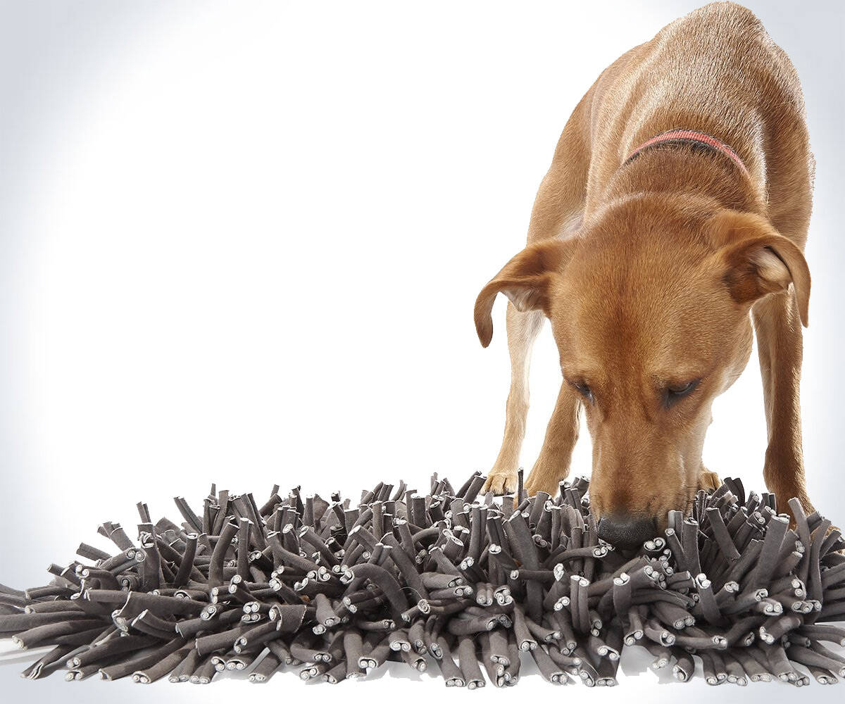 Wooly Snuffle Foraging & Feeding Mat for Dogs - //coolthings.us