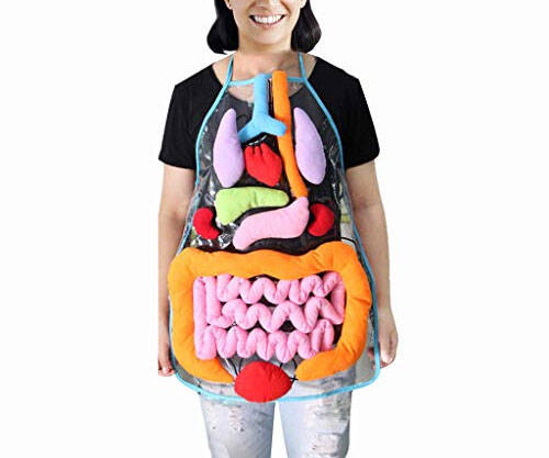 3D Human Anatomy Apron