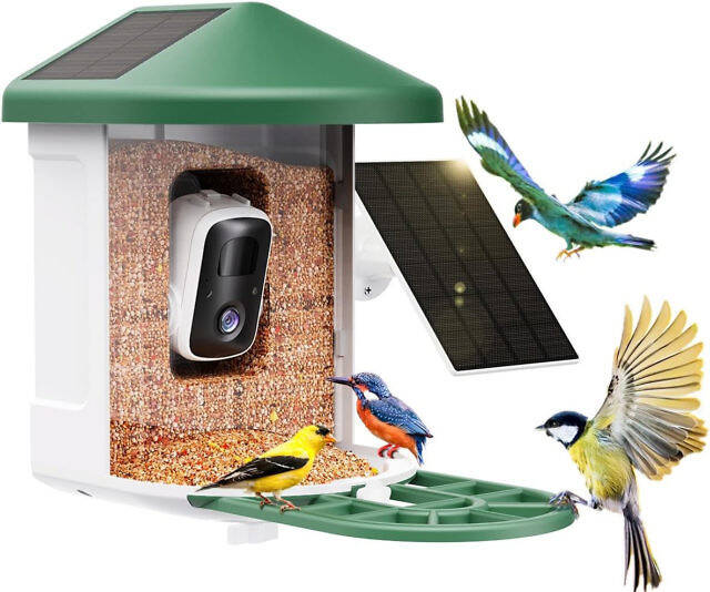 AI Identify Species Bird Feeder - //coolthings.us