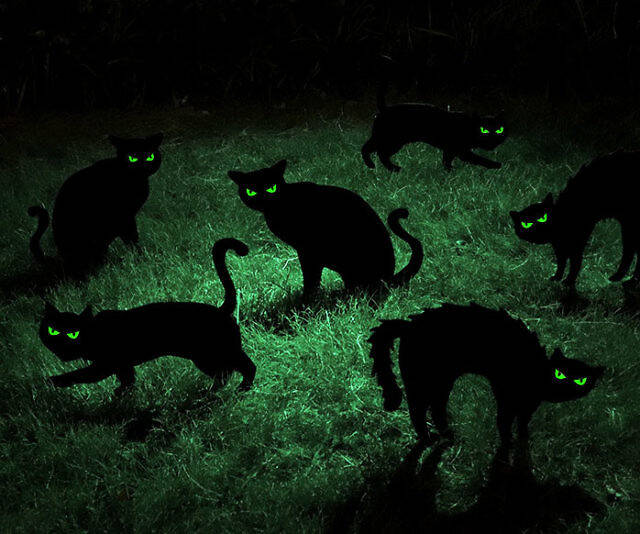 Black Cat Halloween Yard Decor - //coolthings.us
