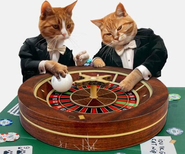 Casino Roulette Wheel Cat Scratcher Toy - //coolthings.us