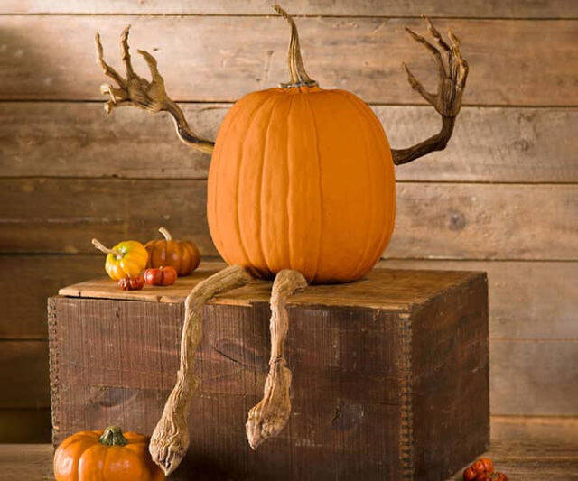 Posable Pumpkin Arms & Legs - //coolthings.us