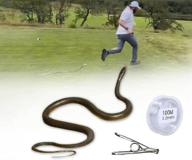 Snake On A String Golf Prank - //coolthings.us