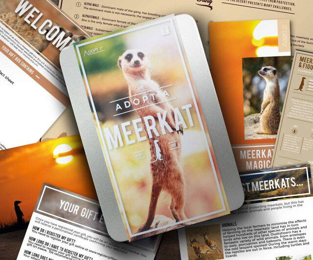 Adopt A Meerkat