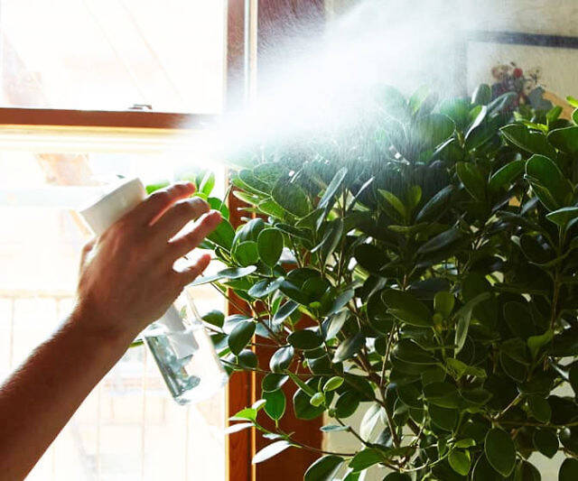 Airless Continuous Ultra Fine Spray Mister - //coolthings.us