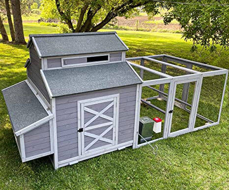Barn Styled Chicken Coop