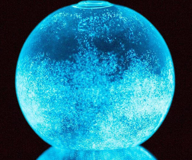 Bioluminescent Plankton Mini Aquarium - //coolthings.us