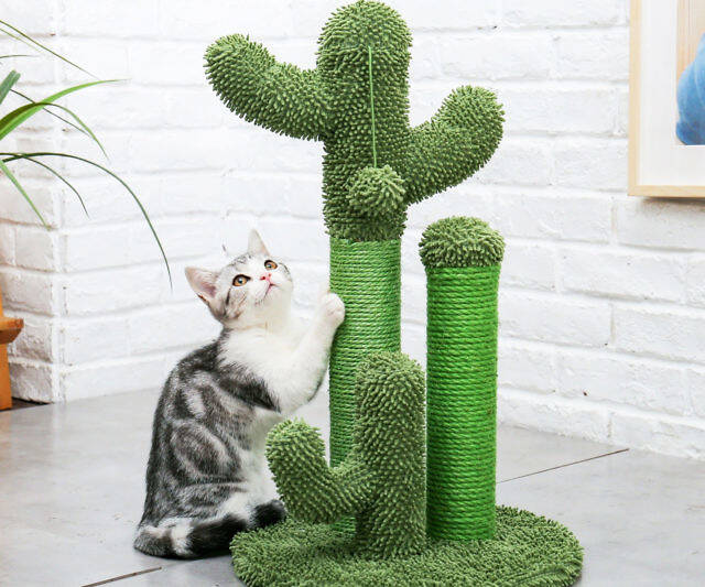 Cactus Cat Scratch Post - //coolthings.us