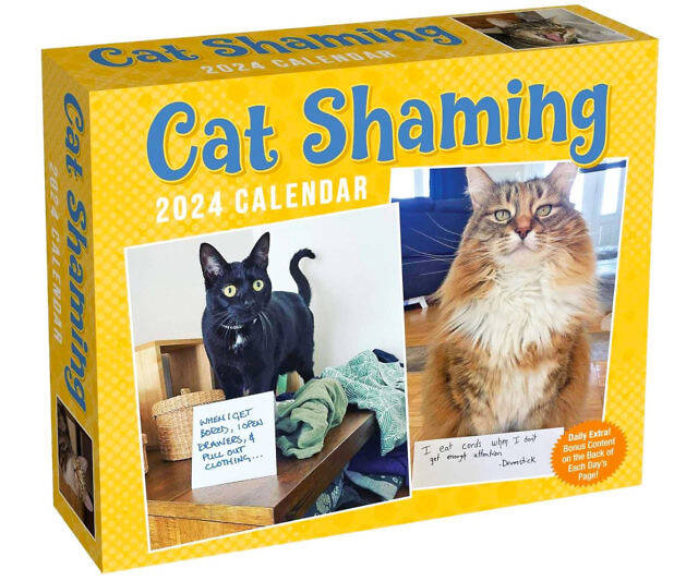 Cat Shaming Calendar - //coolthings.us