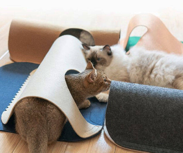 Tunnel Playground For Cats - //coolthings.us