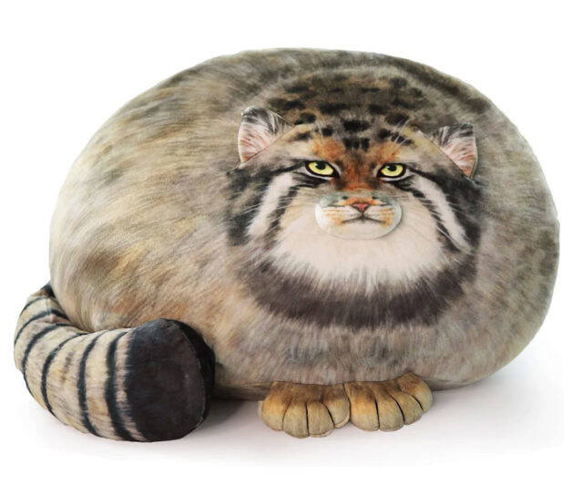 Chonker Cat Plush Pillow - //coolthings.us