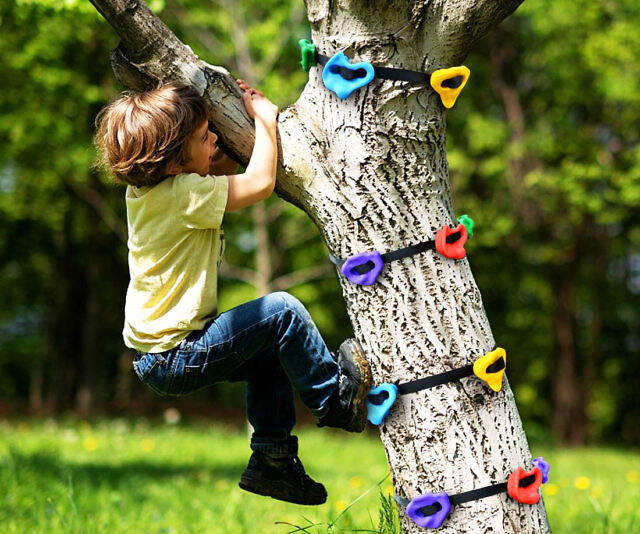 Tree Climbing Holds For Kids - //coolthings.us