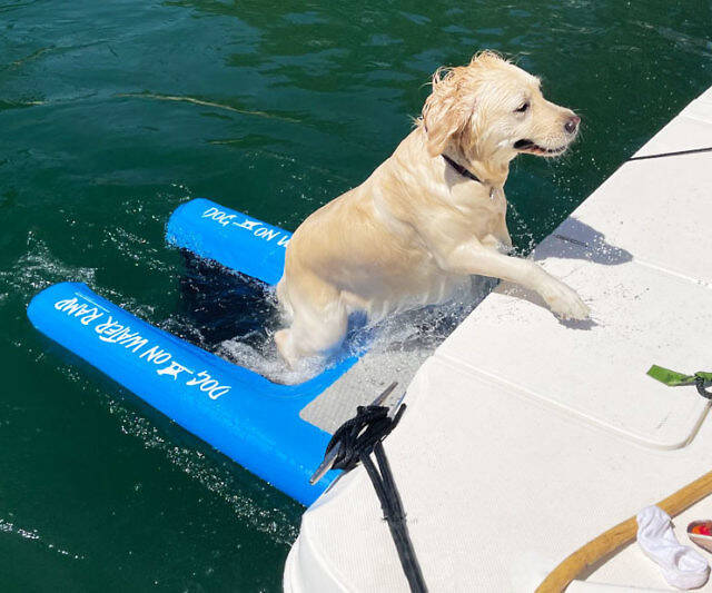 Dog On Water Ramp For Boats - //coolthings.us