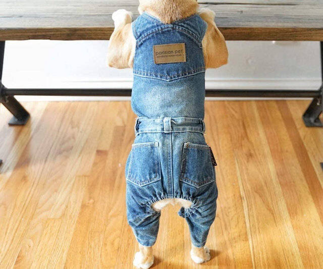 Dog Overalls - //coolthings.us