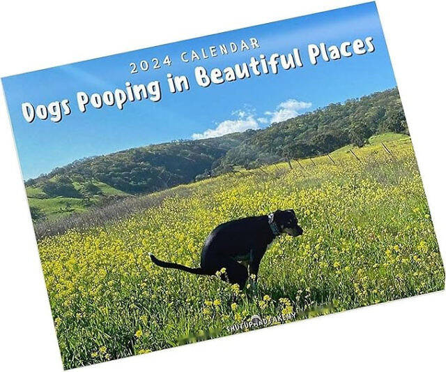 Dogs Pooping In Beautiful Places Calendar - //coolthings.us