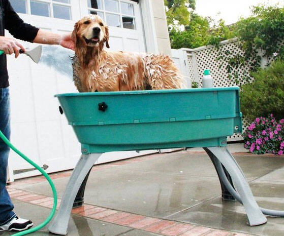 Elevated Dog Bathtub - //coolthings.us