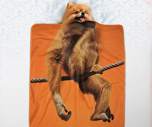 Exotic Pet Blanket - //coolthings.us