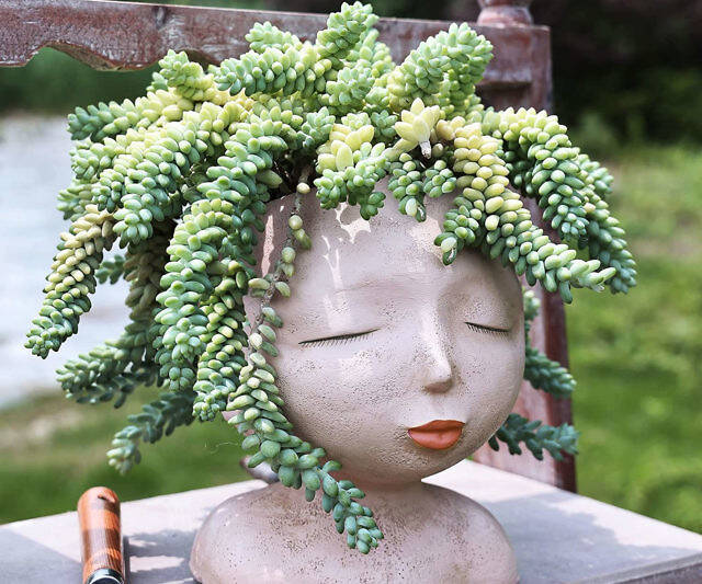 Head Shaped Plant Pot