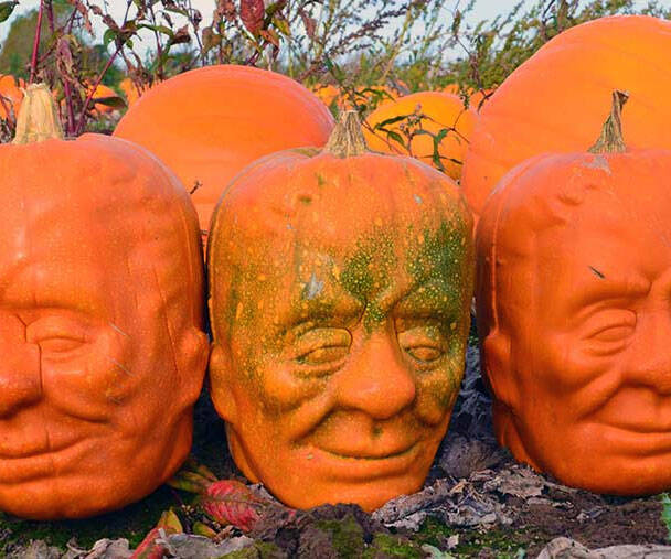 Frankenstein Pumpkin Shaping Mold