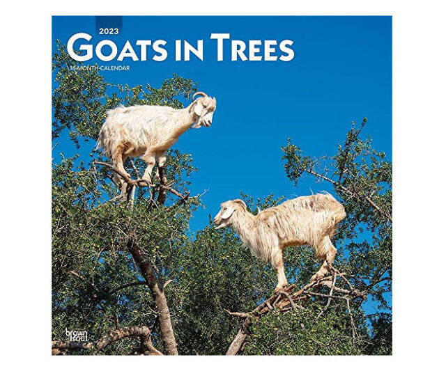 Goats In Trees Calendar
