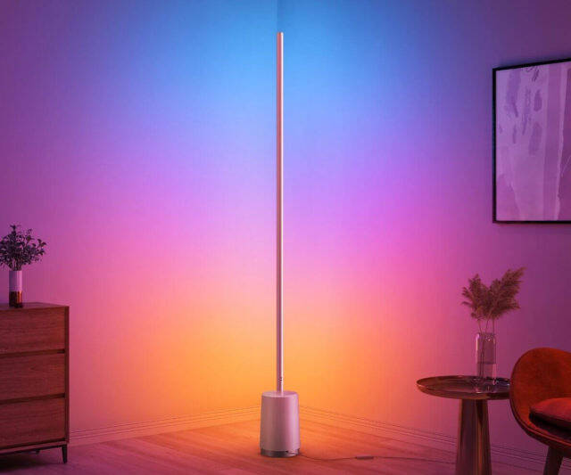 Govee Floor Lamp
