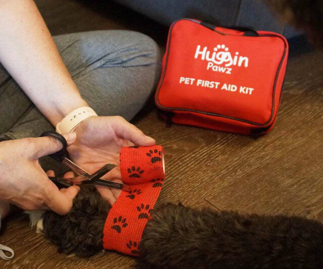 Huggin Paws Pet First Aid Kit - //coolthings.us