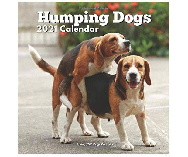Humping Dogs Calendar